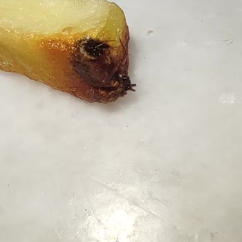 BİM Donmuş Patates Mutfağım Marka