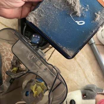 Philips Marka Süpürgeden Şikayetçiyim