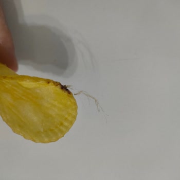 Ruffles Cipsimde Yabancı Madde Buldum!