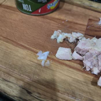 Superfresh Ton Balığından Çıkan Yabancı Cisim