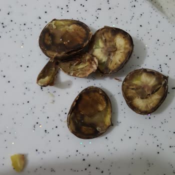 Yhm Alışveriş Merkezleri Büyük Bir Cesaret İle İndirim Adı Altında Çürümüş Kestaneleri Satabiliyor