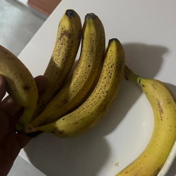 Aydın Migros Sanal Market Çürük Bozuk Ürün Gönderiyor!