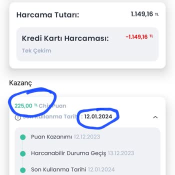 Chippin Yükleniyor Ve Siliniyor