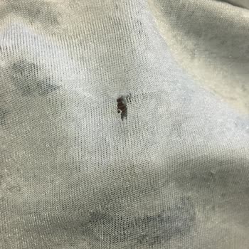 Halı Örtüsü Alemi Lastikli Halı Halı Örtüsü