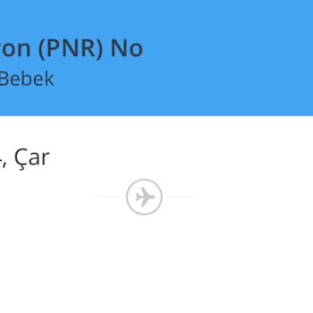 Pegasus Bebekli Uçuşta Büyük Zorluklar