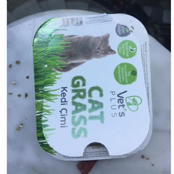 Vets Plus Kedim Çimsiz Kaldı!