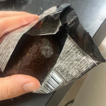 BİM Casey Kek Küflü