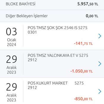 Yapı Kredi Bankası Emekli Maaş Hesabına Bloke Konması