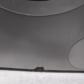 Siemens Çamaşır Makinem Kapağından Su Akıtıyor Akan Su Paslandırdı