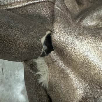 Stradivarius Ceketin Sökülmesi Ve İnceleme İçin İade Kodu Oluşturmama