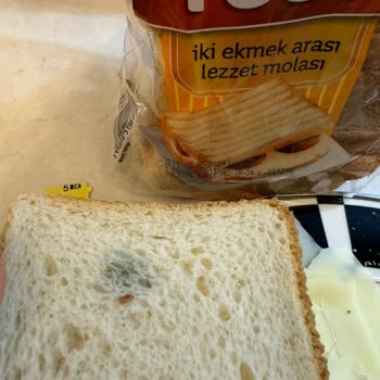 UNO Tost Ekmeği Küflü