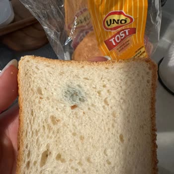 UNO Tost Ekmeği Küflü