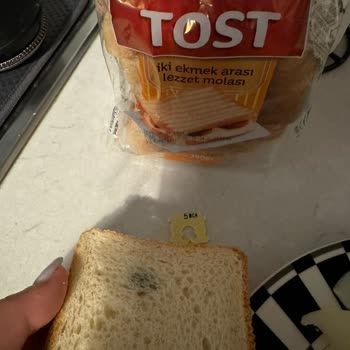 UNO Tost Ekmeği Küflü