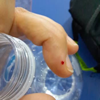 BİM'in Sattığı Su Şişeleri