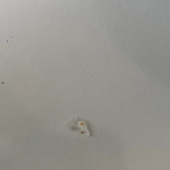 Aro Yulaf Ezmesi Paketi İçinde Çıkan Sivri Cam