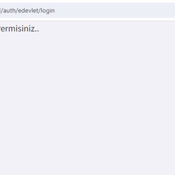 E-Devlet (Turkiye.gov.tr) İle Digital Vergi Dairesine Giriş Yapamıyorum
