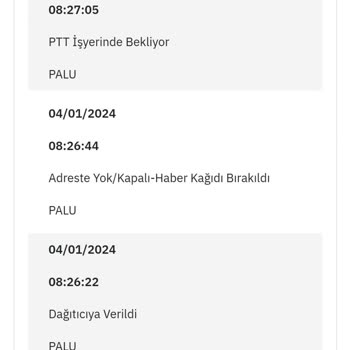 Elazığ Palu PTT Kargo Dağıtıma Çıkmıyor
