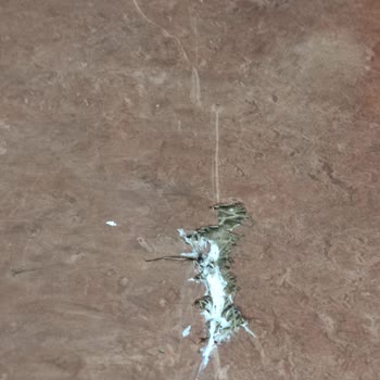 Beko Buzdolabı "servis Nakliye Sırasında Oluşan Hasar Şikayeti"