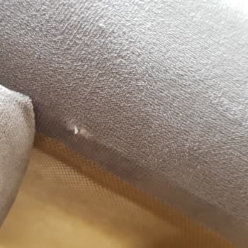 Doğtaş Nova Koltuk Ve Bitmeyen Sorunları