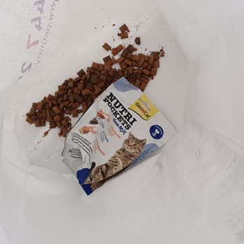 Pet İhtiyaç Kargoda Hasar Gören Kedi Maması Sorunu