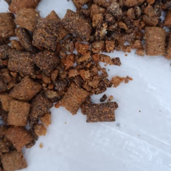 Pet İhtiyaç Kargoda Hasar Gören Kedi Maması Sorunu