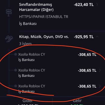 Roblox Kartımdan Onaysız Yere Para Çekilmesi