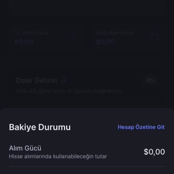 Midas 'da Bakiye Problemleri, Al Satta Para Kaybolması