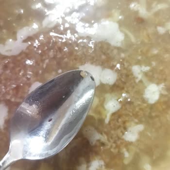 İpekova Gıda Karakılçık Bulgurda Susam Böceği