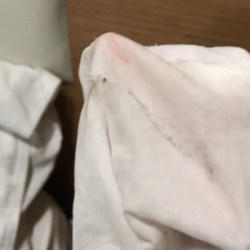 Monopetra Otel Felaketi