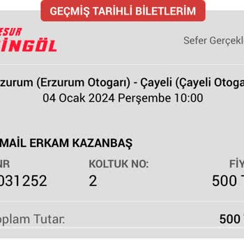 Cesur Bingöl Turizm Erzurum-Rize Seferinde Sürekli Aktarma Mağduriyeti