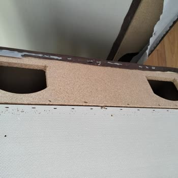 Alfemo Sunta Koltuğu Gürgen Diye Satıyor