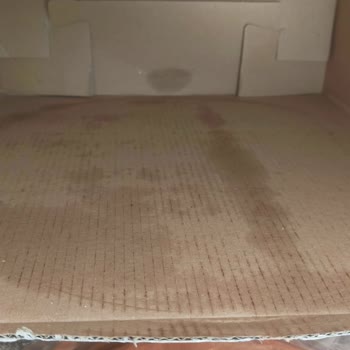 Madame Coco Dan Aldığım Kek Fanusu