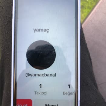 TikTok Aileme Ve Bana Hakaret