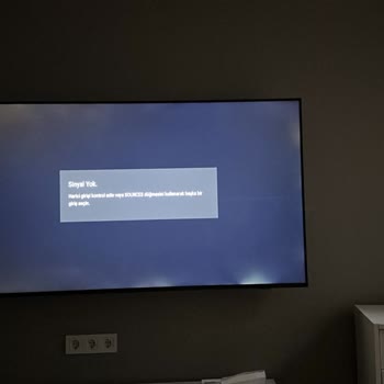 PHILIPS TV Philips 65PUS8007 TV Ekran Renk Sorunu Philips Tarafından Çözülemedi