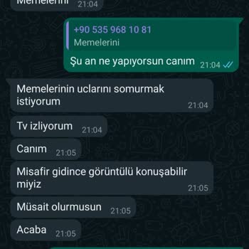 Niğde Ömer Halisdemir Üniversitesi Eğitim Ve Araştırma Hastanesi Hastane Çalışanının Uygunsuz Davranışları