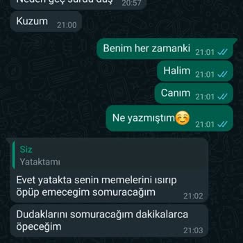 Niğde Ömer Halisdemir Üniversitesi Eğitim Ve Araştırma Hastanesi Hastane Çalışanının Uygunsuz Davranışları