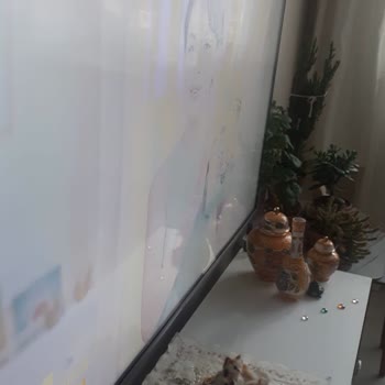 Vestel Televizyonlarında Düşük Kaliteli Panel Ve LED Kullanılıyor