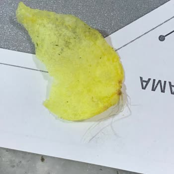 Lays Cips İçinde İp Çıktı