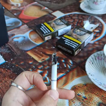 Kısa Parliament Odun Çıktı