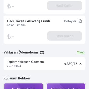 Hadi TOM Pay Hadi Veresiye Limit
