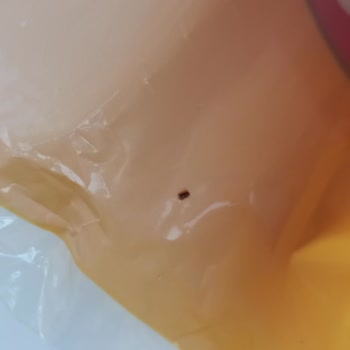 Mutlu Makarna Açılmamış Pakette Böcek Çıktı