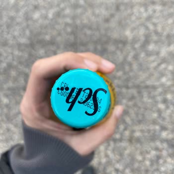 Schweppes Bitter Lemon İçi Parçacıklı