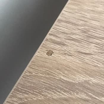 Koçtaş Eryaman Şubesi Masa Yüzeyinde Patlak