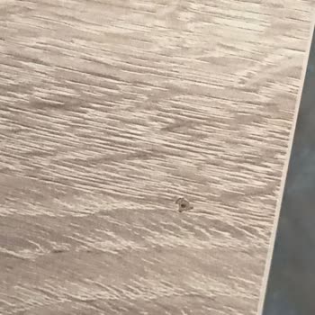 Koçtaş Eryaman Şubesi Masa Yüzeyinde Patlak