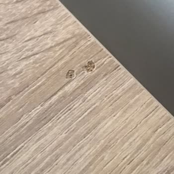 Koçtaş Eryaman Şubesi Masa Yüzeyinde Patlak
