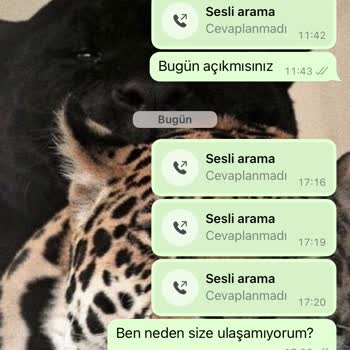 Yetimoğlu Motorlu Araç Hizmet Çok Kötü
