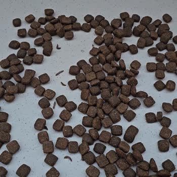 Aliş Pet Shop Kurtlu Mama Gönderdi!