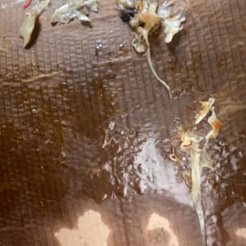 Domino's Pizza Belirsiz Ürün Boyutu Ve Ezilmiş Pizza Geldi