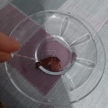 Pehlivanoğlu Kıymanın İçinden Naylon Çıktı