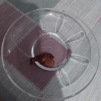 Pehlivanoğlu Kıymanın İçinden Naylon Çıktı